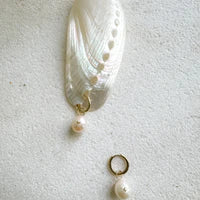 The Navigator Earring