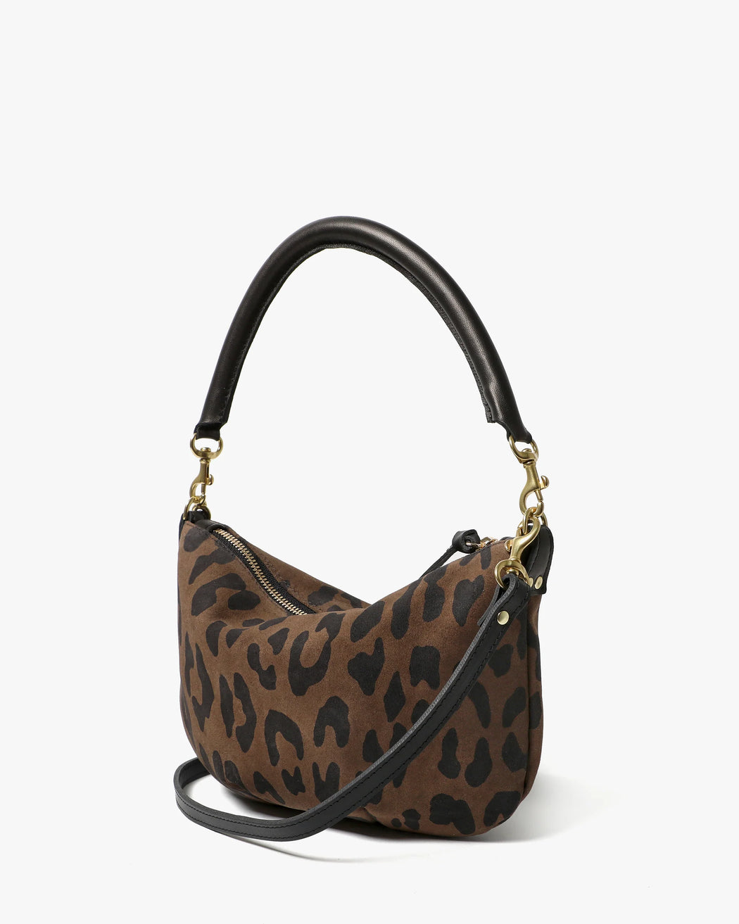 Petit Moyen | Cocoa Pablo Cat