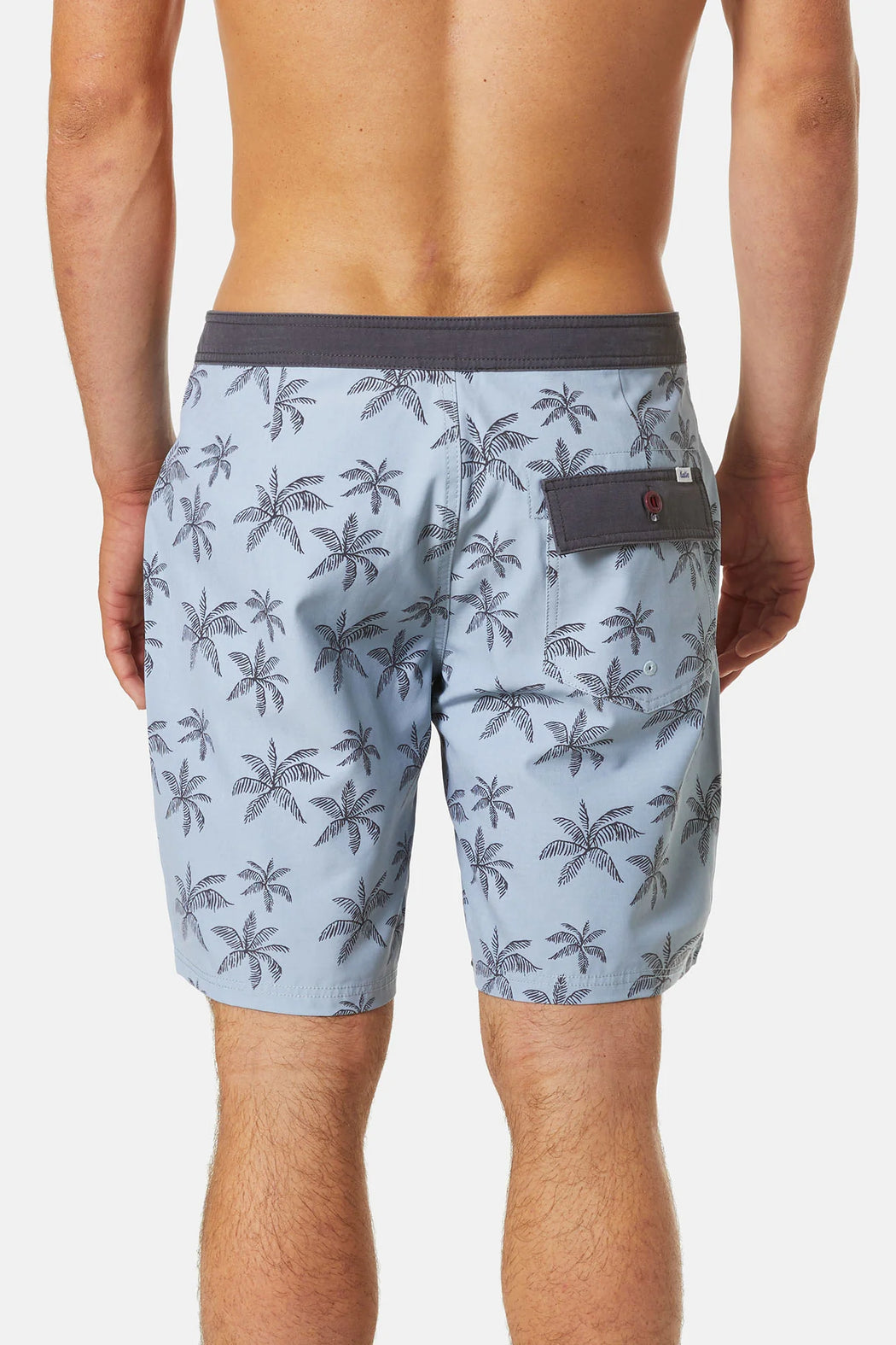 Mai Tai Hybrid Trunk | Light Blue