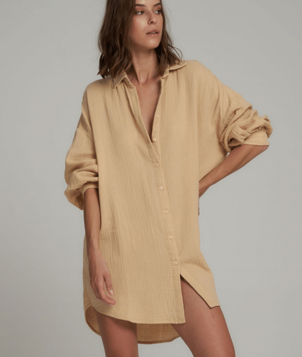 Apple Shirt Dress | Honey