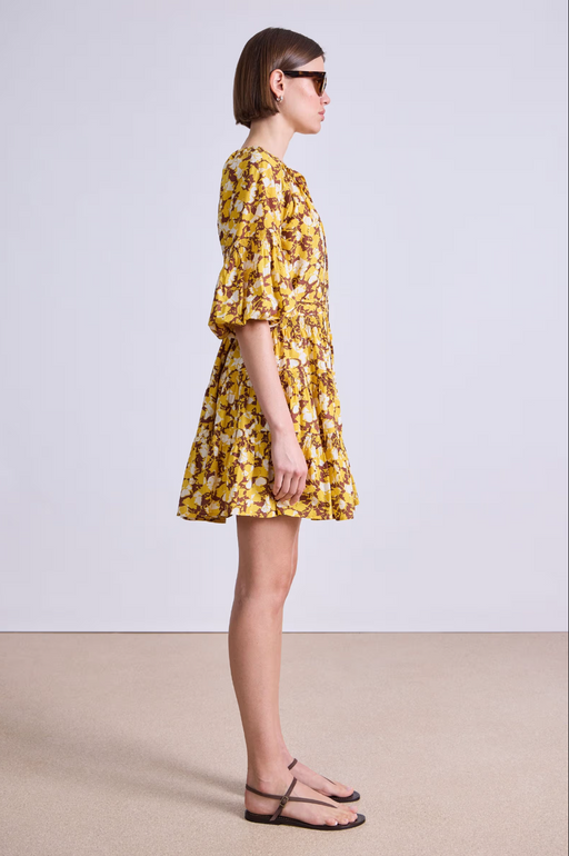 Cefalu Mini Dress | Alina Floral Sunshine