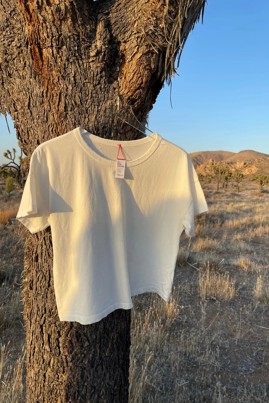 Vintage Fille Tee | Clean White