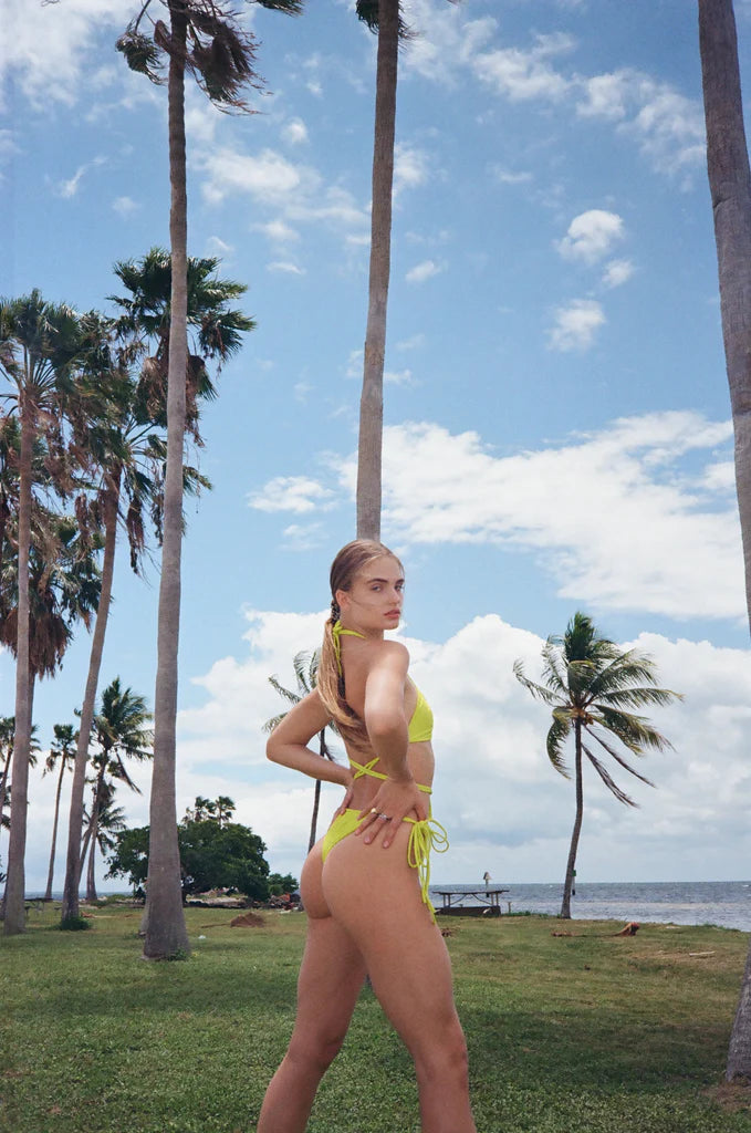 Conch Bottom l Limeaid