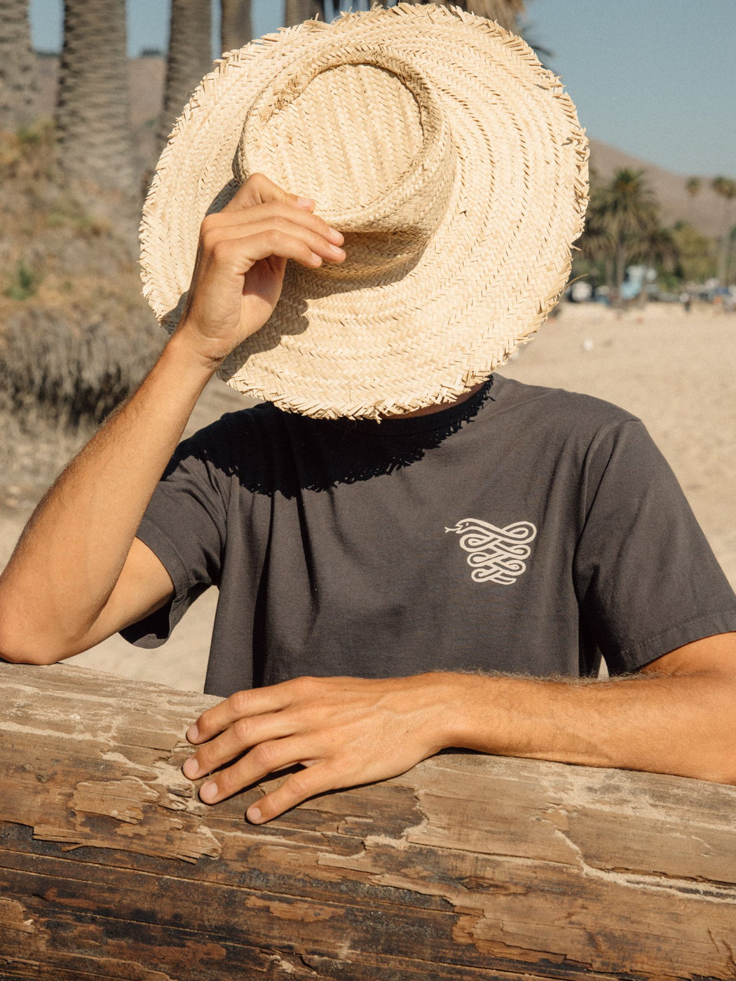 Surfwich Tee | Faded Tee