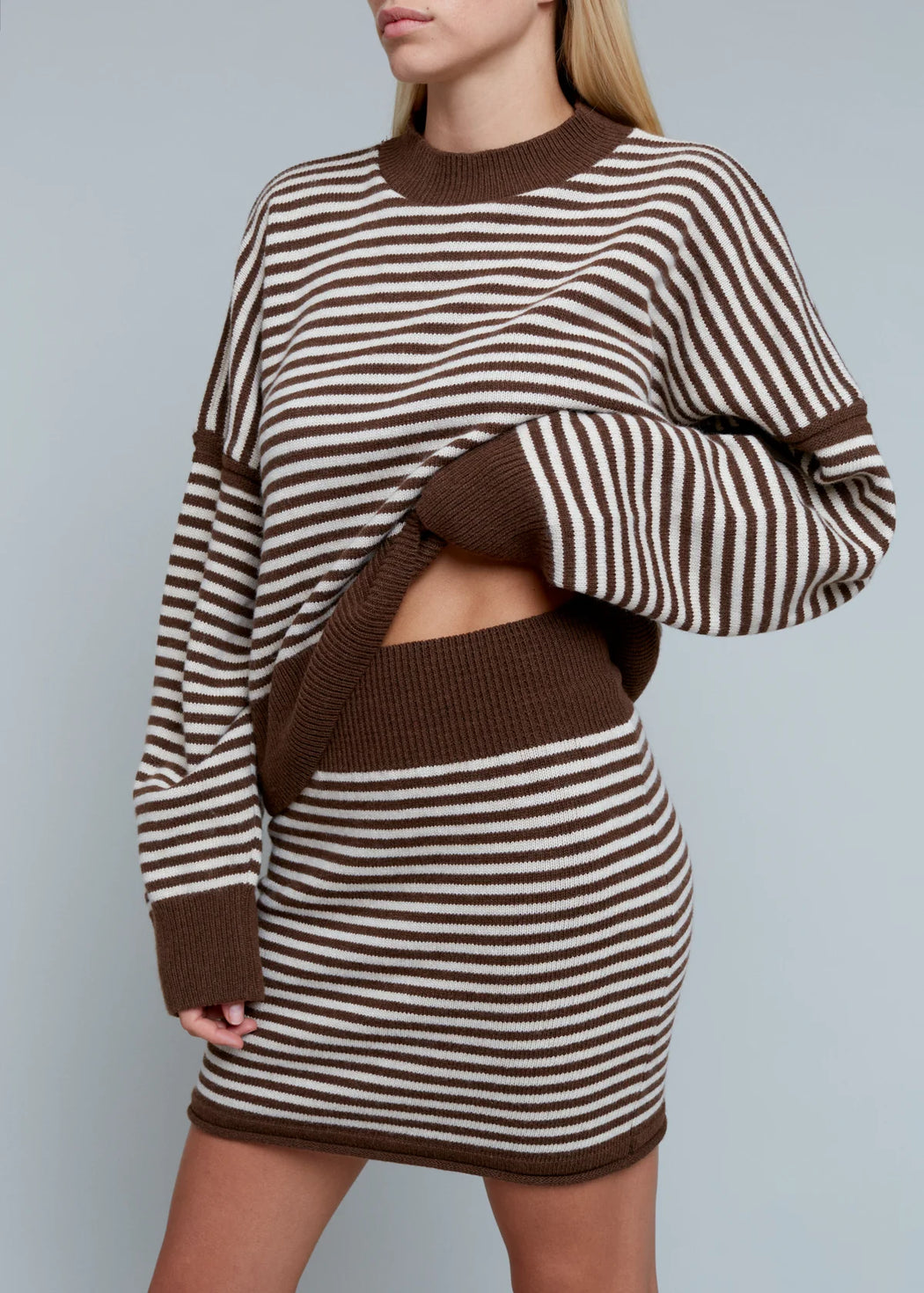 Bea Knit Skirt | Porcini Stripe