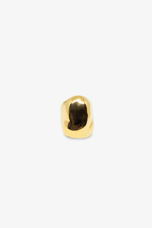 Dylan Dome Ring | Gold