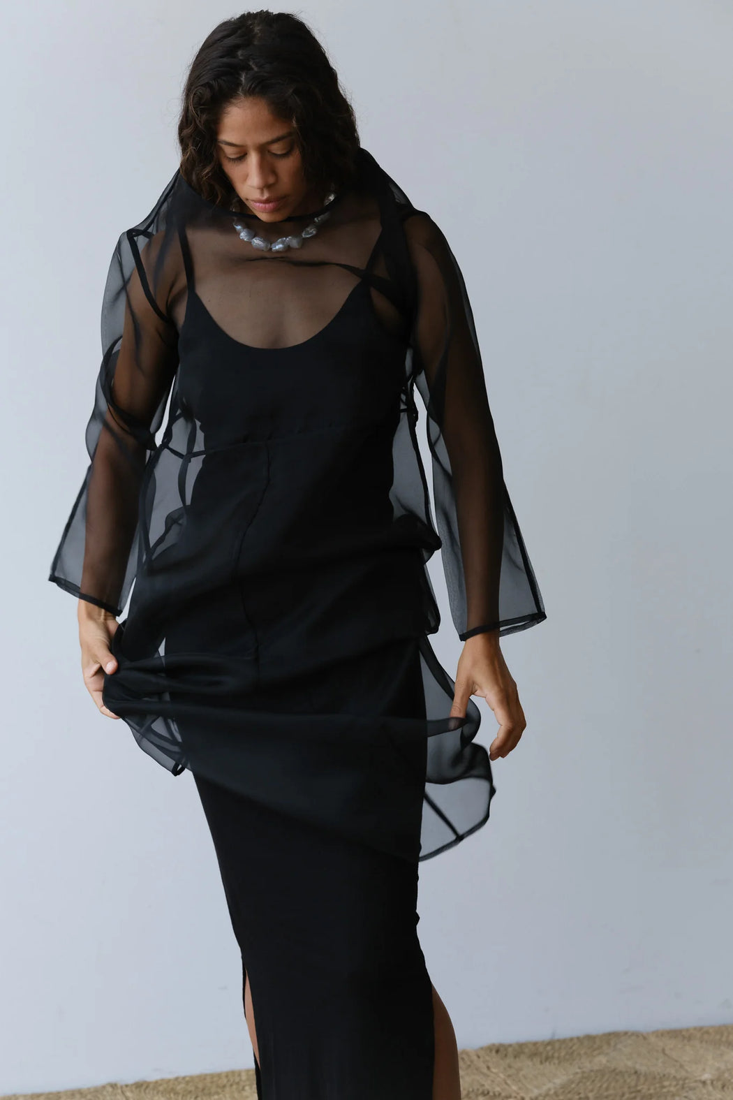 Organza Long Sleeve Dress