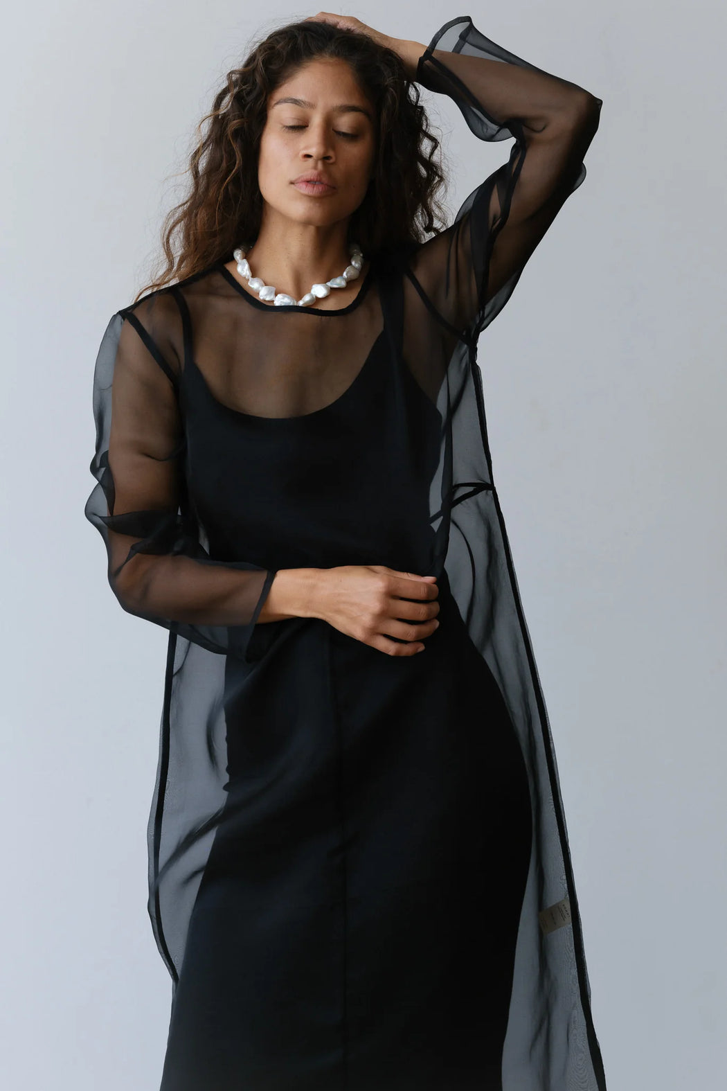 Organza Long Sleeve Dress