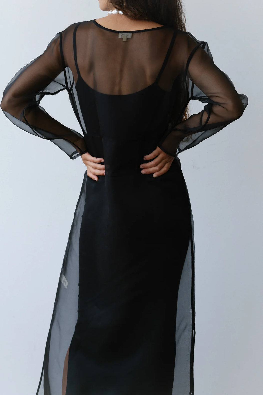 Organza Long Sleeve Dress