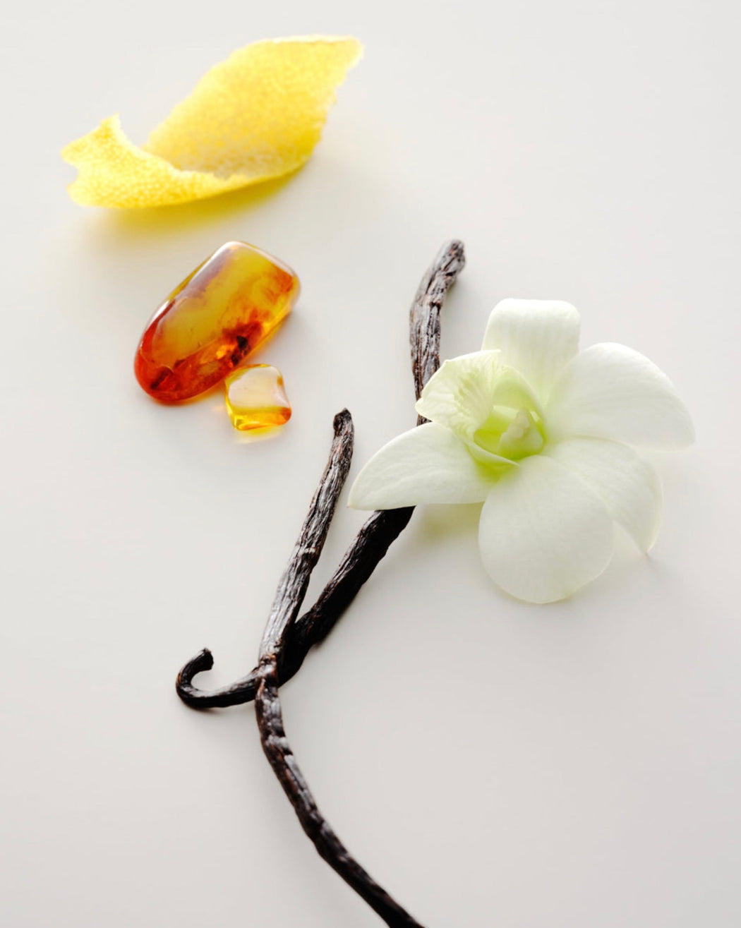 No.15 Vanilla Infinie | Perfume Oil