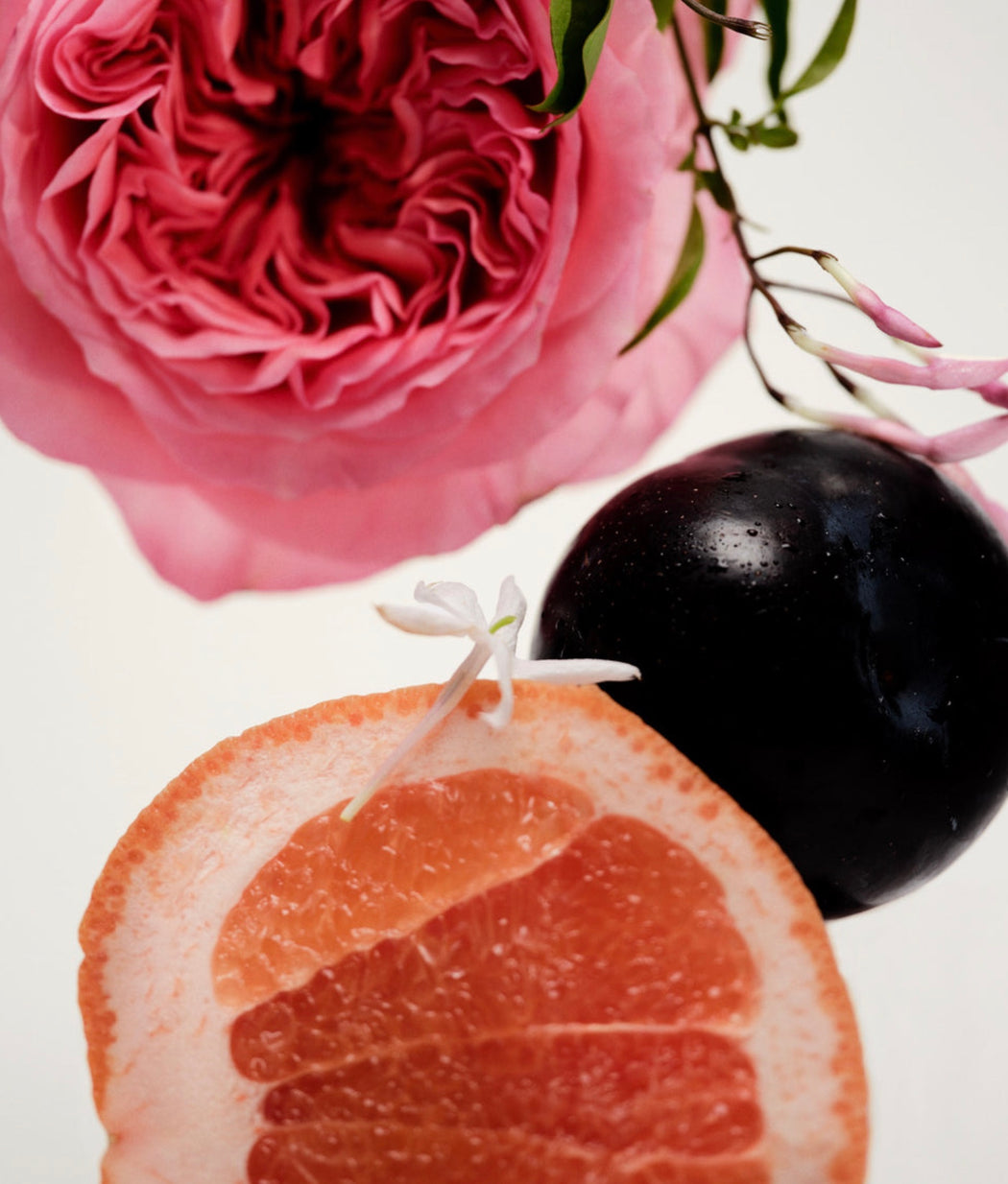 No.14 Ilica | Hand Cream