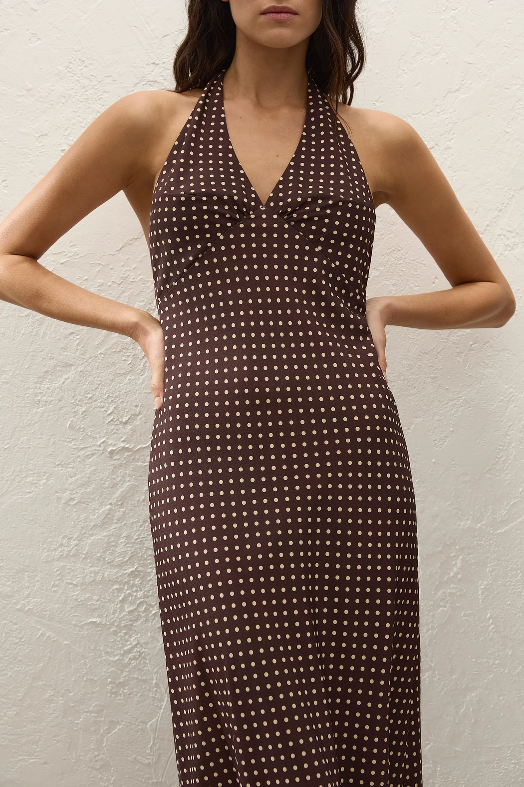 Rosa Maxi Dress|  Polkadot Chocolate Plum