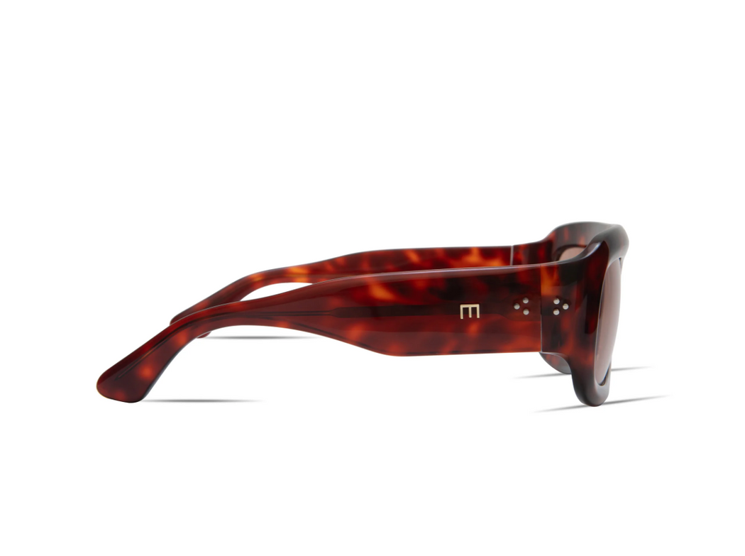 Aries | Red Tortoise