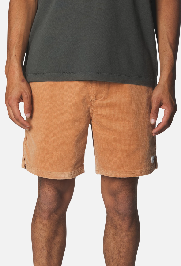 Cord Local Short | Brush