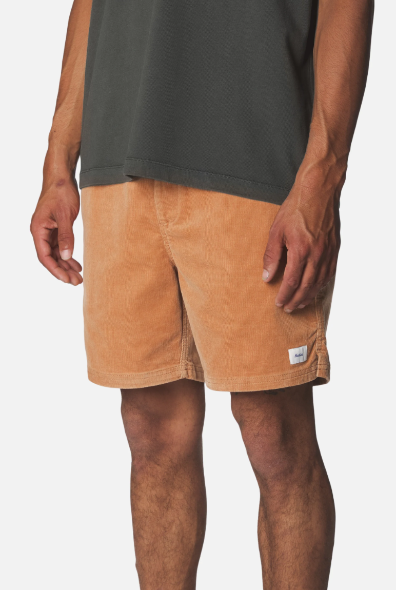 Cord Local Short | Brush