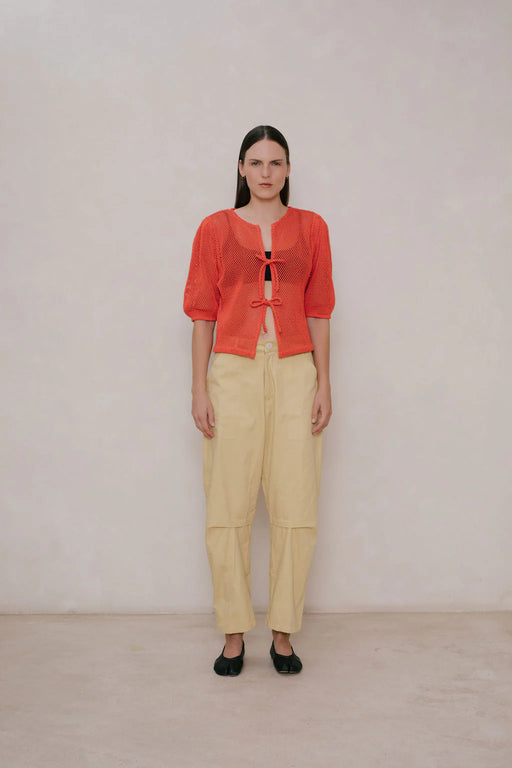 Mesh Puff Sleeve Top | Tomato