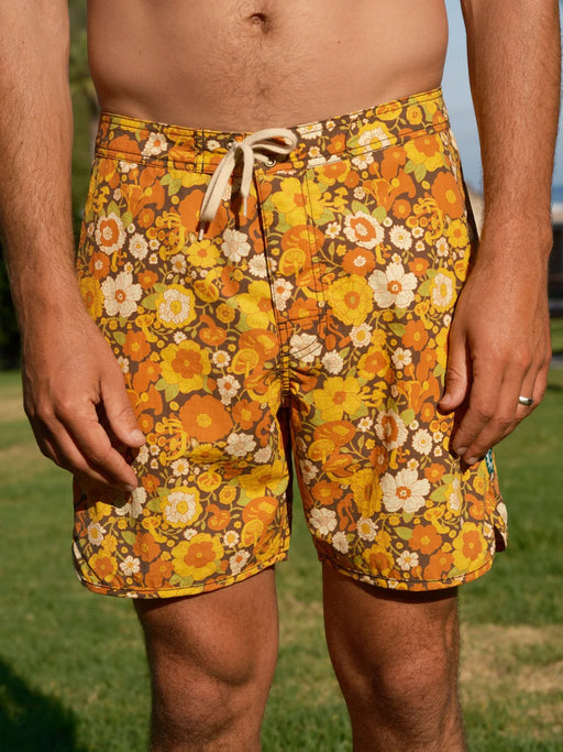 Scallop Trunks | Harvest Mushroom Garden