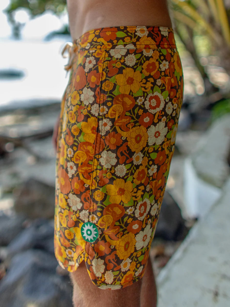 Scallop Trunks | Harvest Mushroom Garden