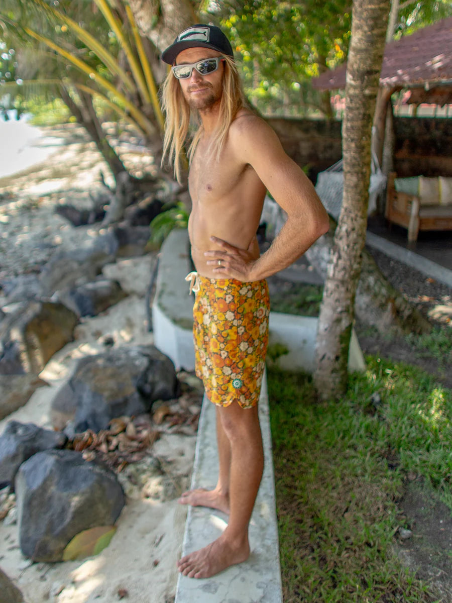 Scallop Trunks | Harvest Mushroom Garden