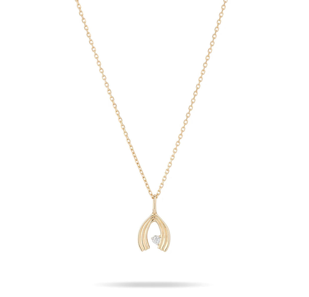 Groovy Single Diamond Wishbone Necklace